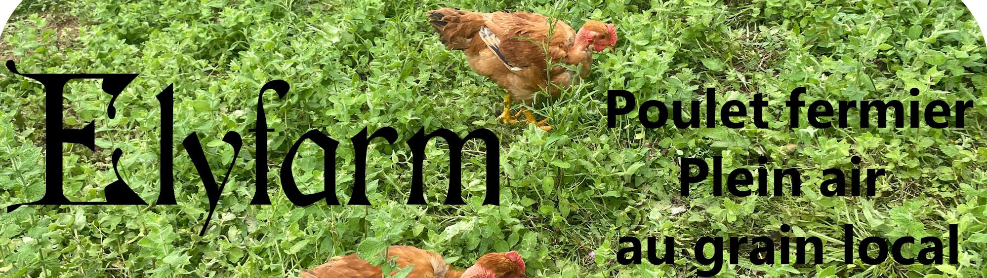 ElyFarm – Ferme Elyroy